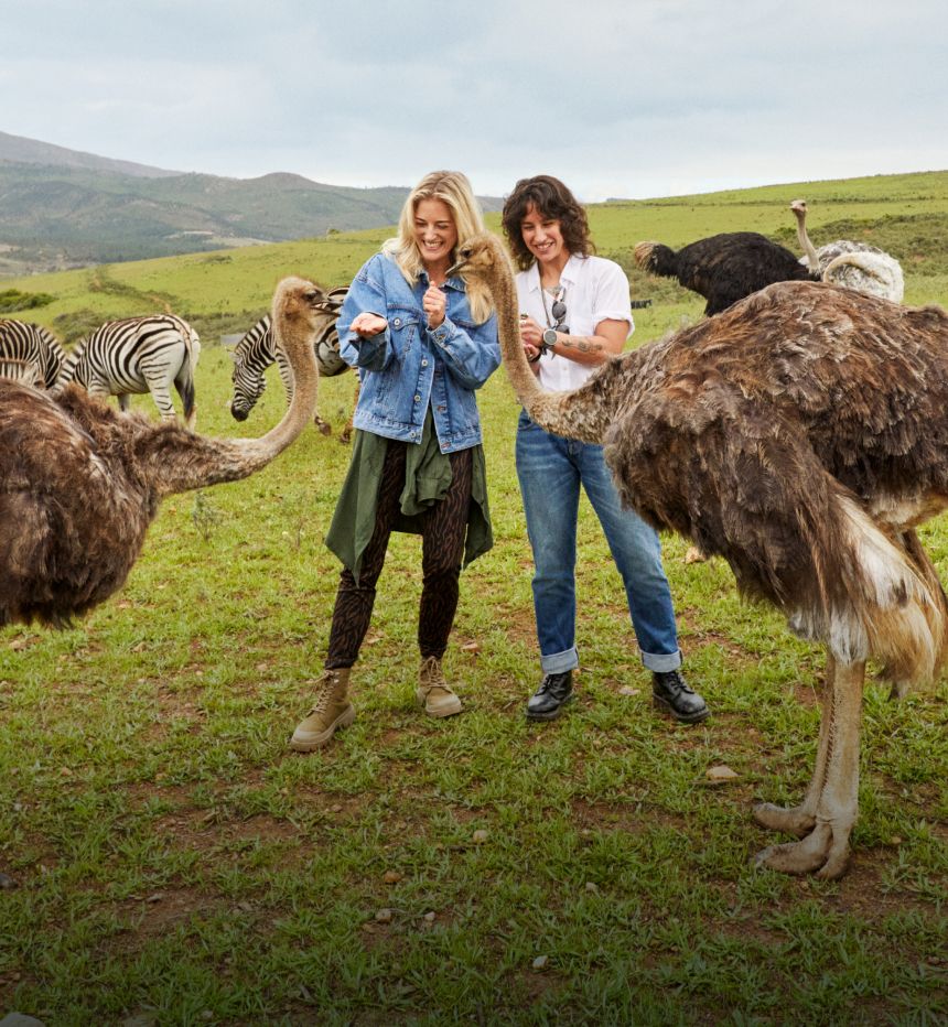 Two women feeding ostriches in a vast field with zebras and hills in the background