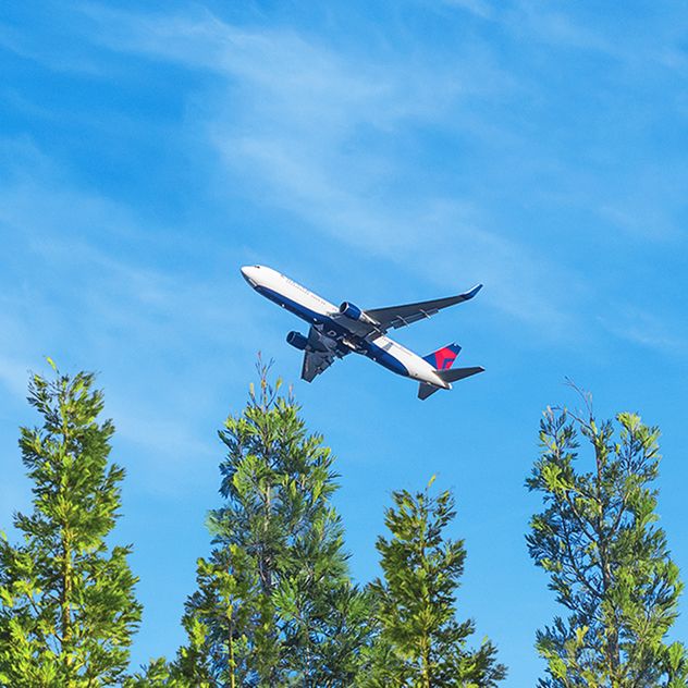 A Delta airplane flies above a lush forest with tall evergreen trees and a clear sky with light clouds.